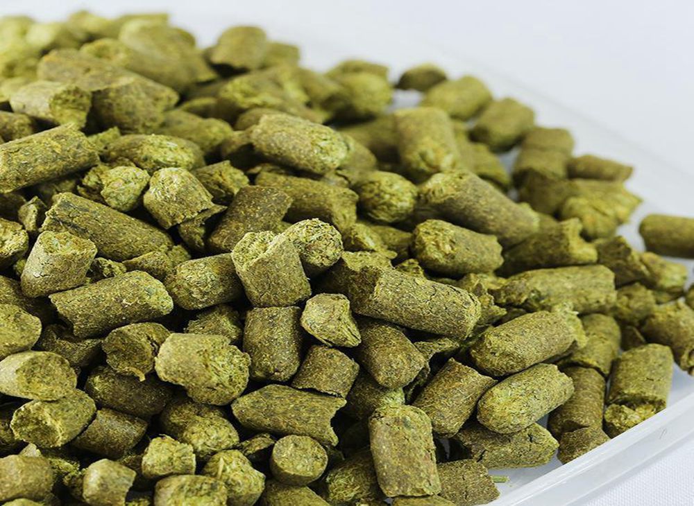 <b>How to feed hops during boiling process?</b>